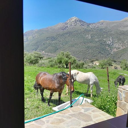 El Higueron Villa Jimera de Libar Luaran gambar
